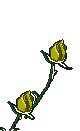 Flores para un Luto...
